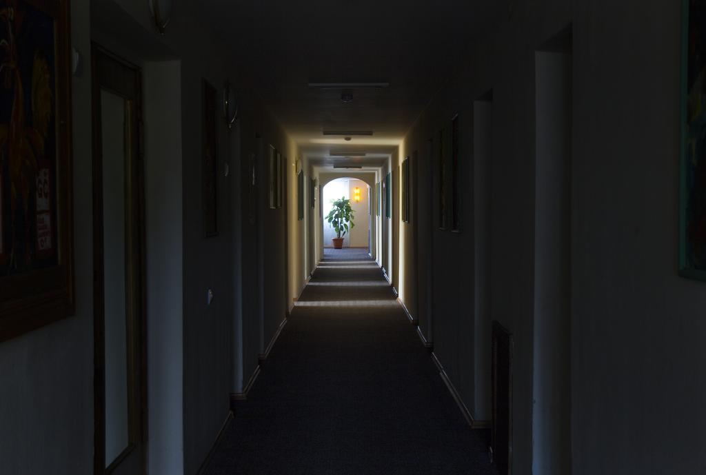 Dzukija Hotel Alytus Extérieur photo